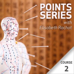 Série Pontos – Curso 2