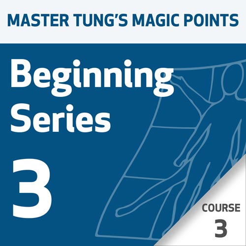 Pontos Mágicos da Acupuntura do Mestre Tung: Série 3 para Iniciantes – Curso 3