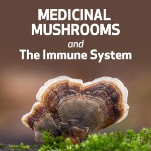 Cogumelos Medicinais e o Sistema Imunológico