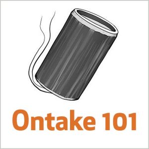 Moxabustão Ontake 101