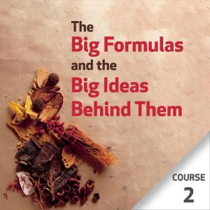 As Grandes Fórmulas e As Grandes Ideias Por Detrás Delas – Curso 2