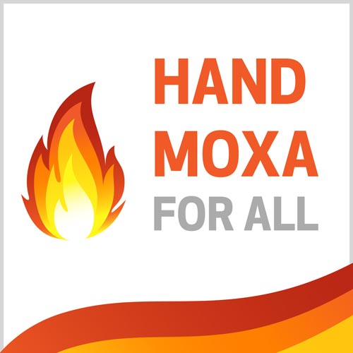 Moxa Manual para Todos