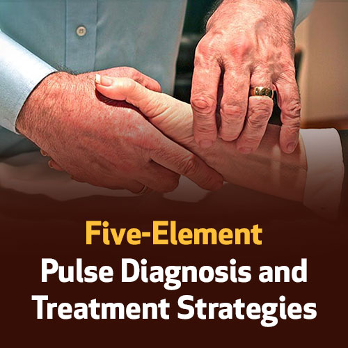 5 Elementos – Disgnóstico do Pulso e Estratégias de Tratamento