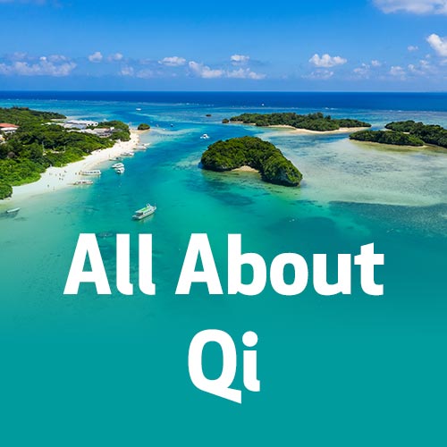 Tudo Sobre Qi
