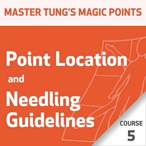 Pontos Mágicos da Acupuntura do Mestre Tung: Série Localização de Pontos e Técnicas de Agulhamento – Curso 5