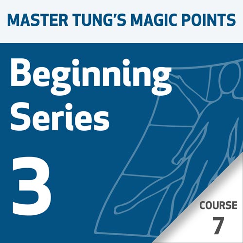 Pontos Mágicos da Acupuntura do Mestre Tung: Série 3 para Iniciantes – Curso 7
