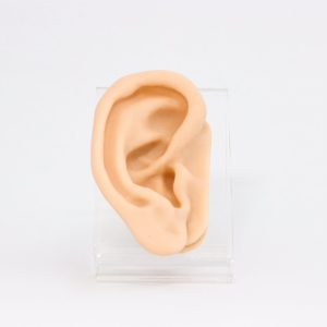 Modelo de Orelha de Silicone c/ Base de Acrílico – Kan Li