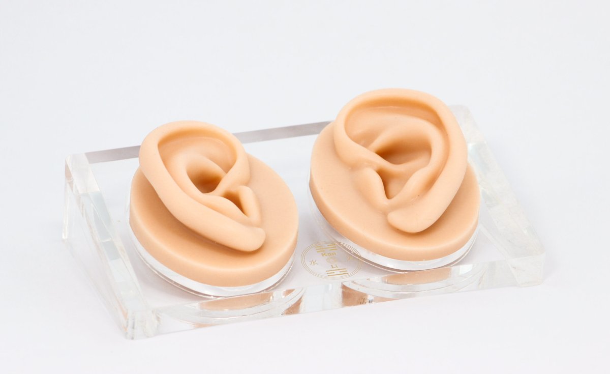 Modelo de Orelha de Silicone c/ Base de Acrílico Par – Kan Li