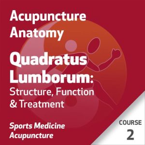 Série Acupuntura Anatômica – Curso 2