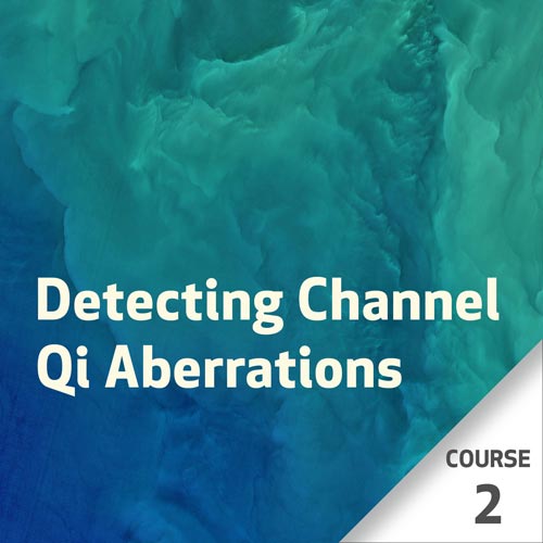 Detectando Alterações de Qi Nos Canais – Curso 2