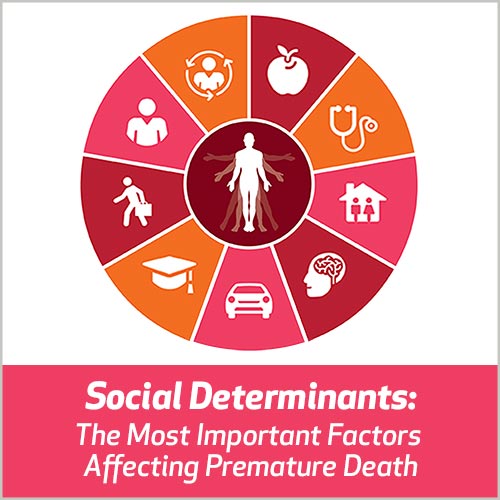 Fatores Sociais: os Fatores Mais Importantes Afetando a Morte Prematura