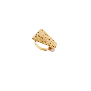 Anel Maré ouro 18k