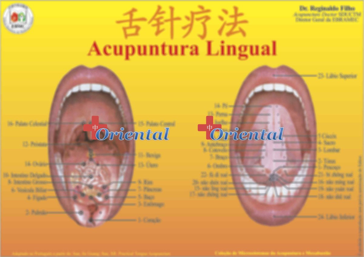 Mapa Lingual